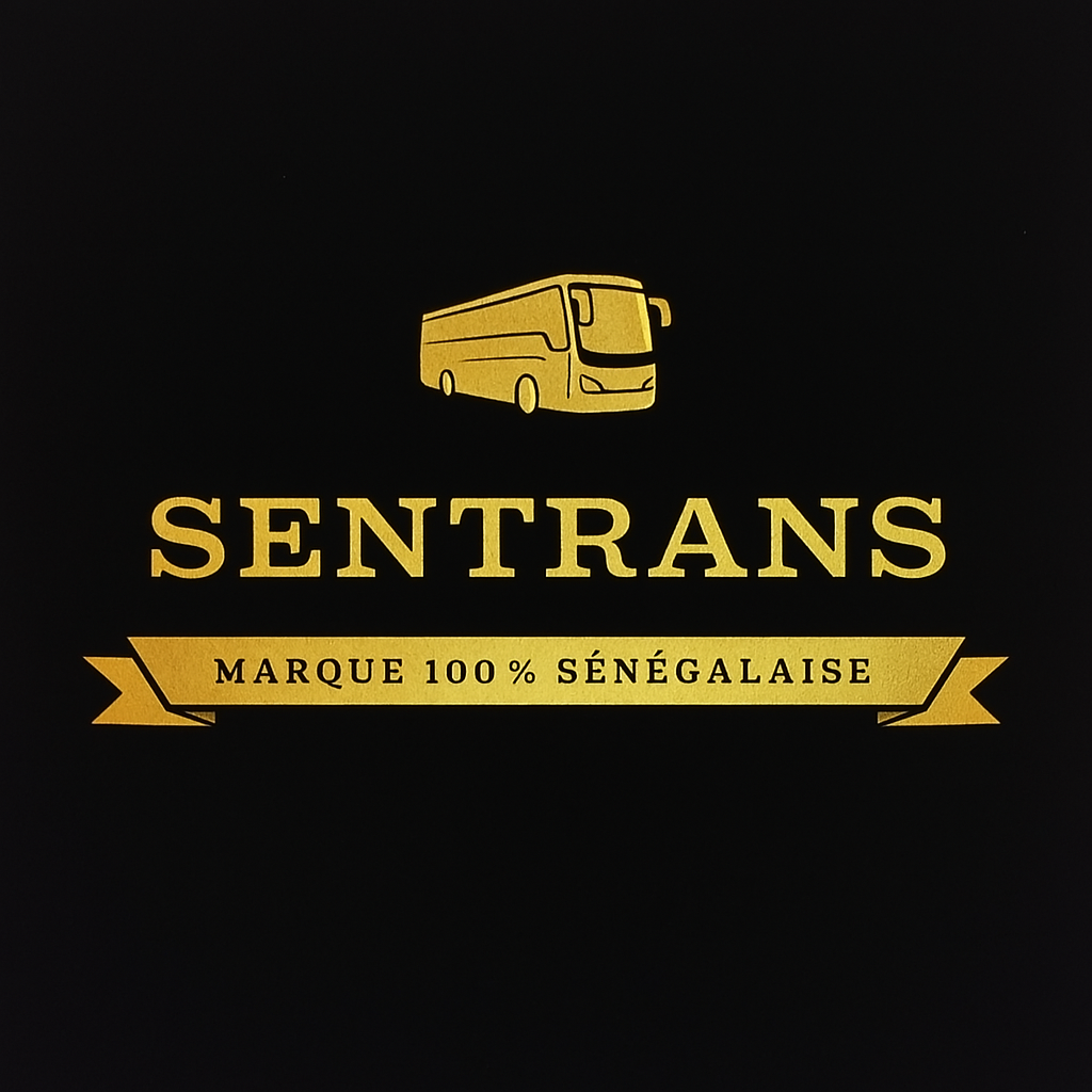 sentrans-site log copie